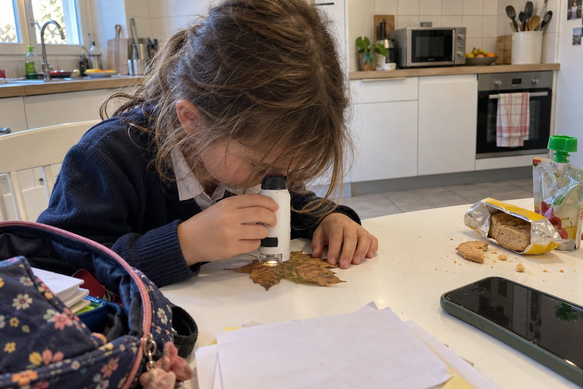 Un enfant regarde dans son microscope Zoomio posé sur une feuille, à la table de la cuisine après l’école